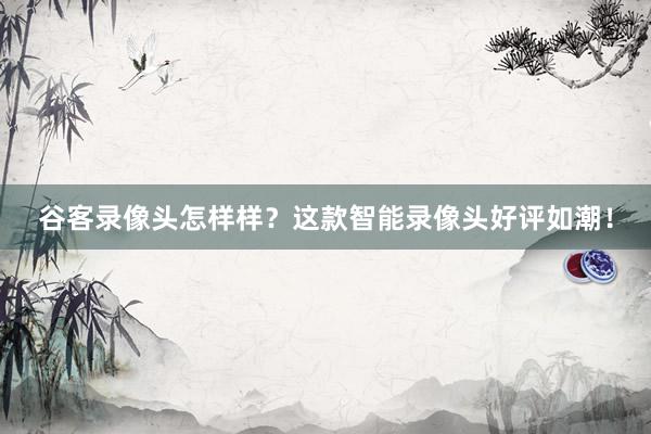 谷客录像头怎样样？这款智能录像头好评如潮！