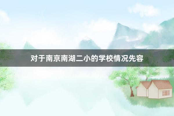对于南京南湖二小的学校情况先容